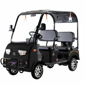 Vitacci WOW 1200 Electric Golf Cart, 60V 35AH Lead-Acid Battery Power