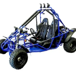 RPS Tranformer 200cc Gokart, Fully Automatic with reverse, 4-Stroke, Single Cylinder, Electric start