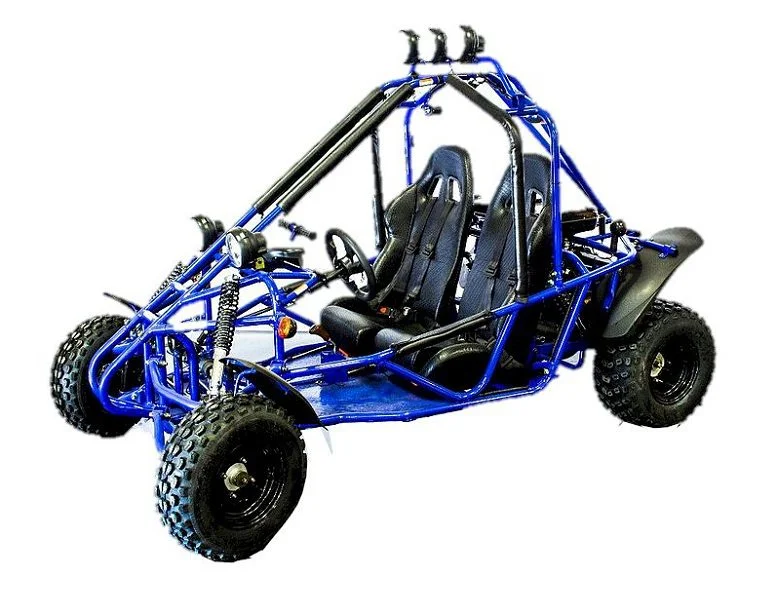 RPS Tranformer 200cc Gokart, Fully Automatic with reverse, 4-Stroke, Single Cylinder, Electric start