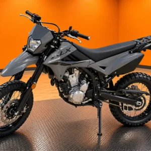 2025 KAWASAKI KLX300SM (In Store)