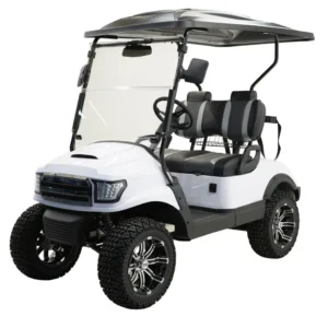 Massimo MGC2 Electric Golf Kart