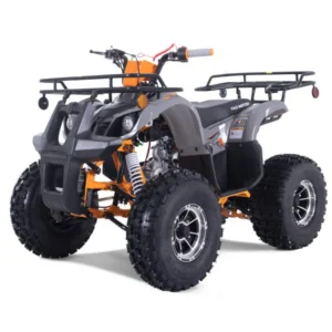 Tao T-Force Platinum 125cc Four Wheeler